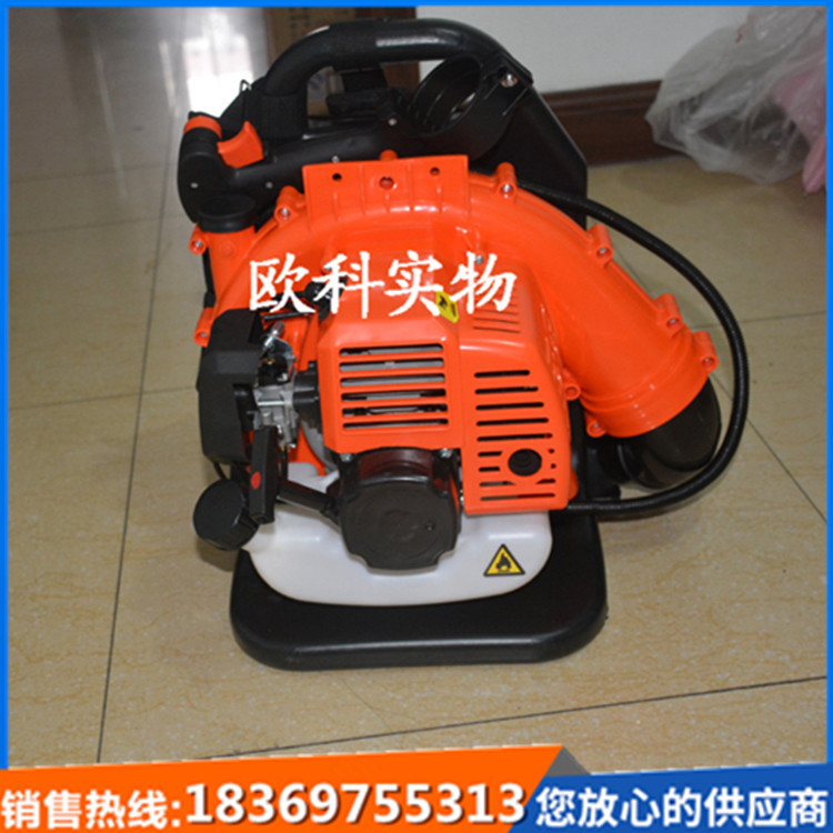 四冲程背负式吹风机 森林灭火器
