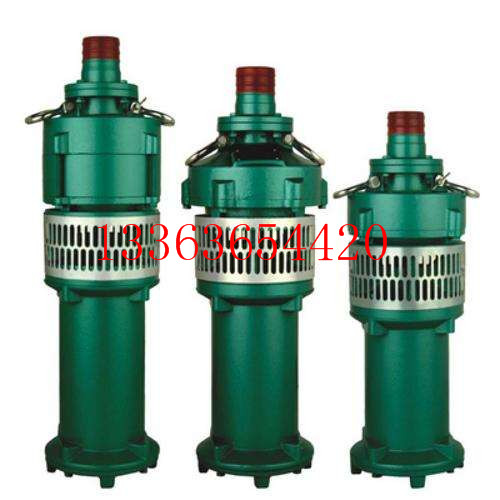 批发24V输油泵小油泵抽水机潜水泵全自动静音220v增压泵