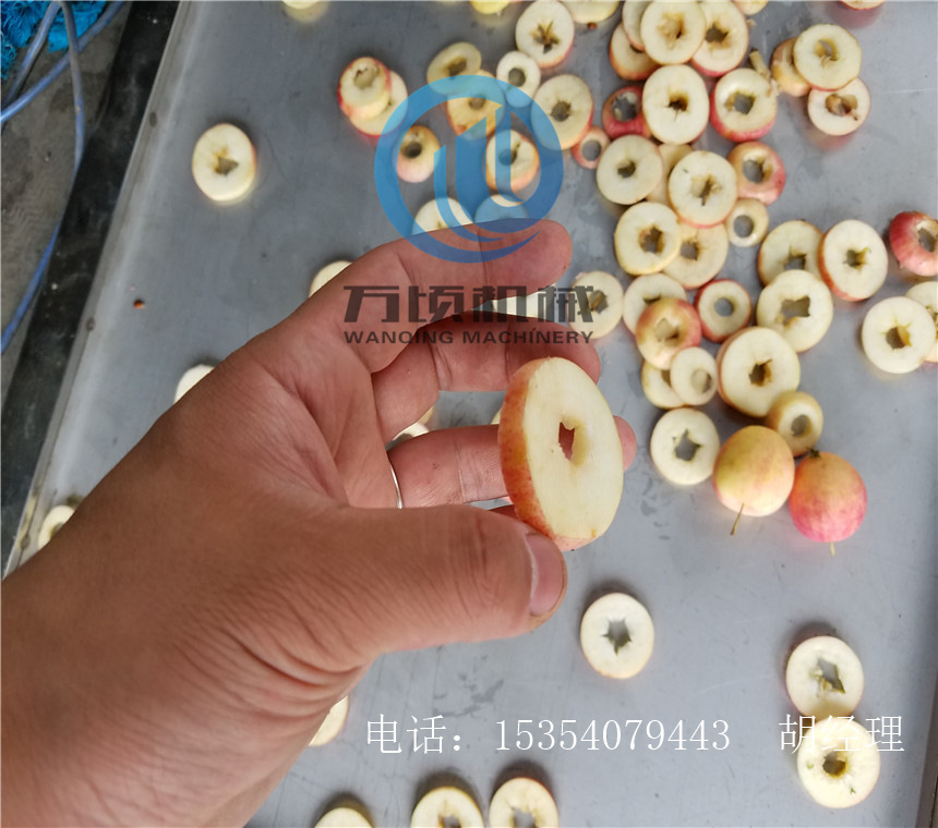 沙果去核切片机 万顷专业生产