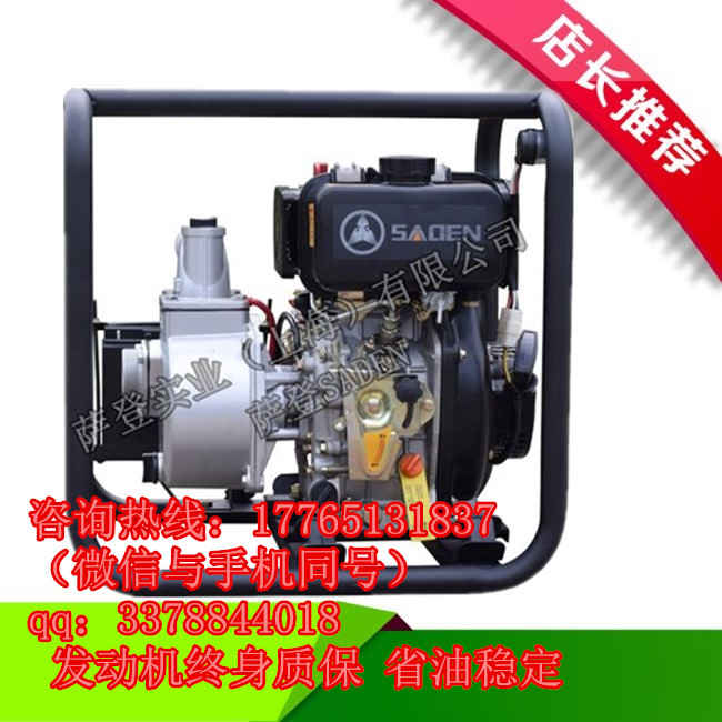 DS100DP小型柴油水泵