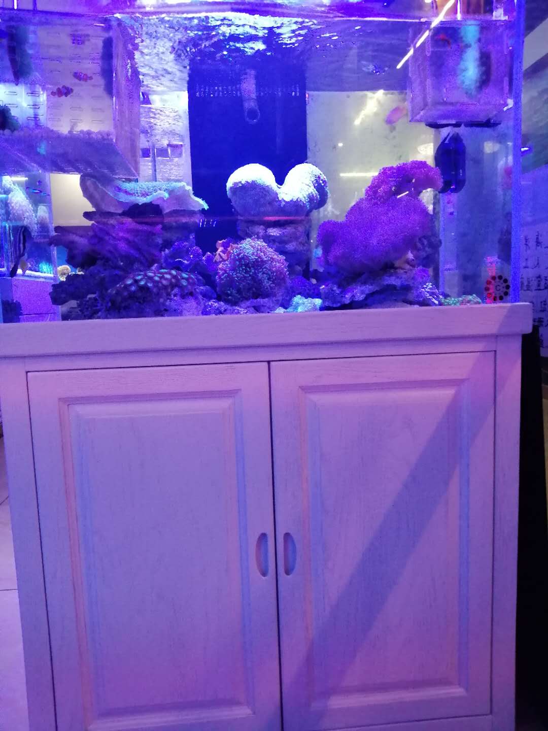 济南鱼缸清洗