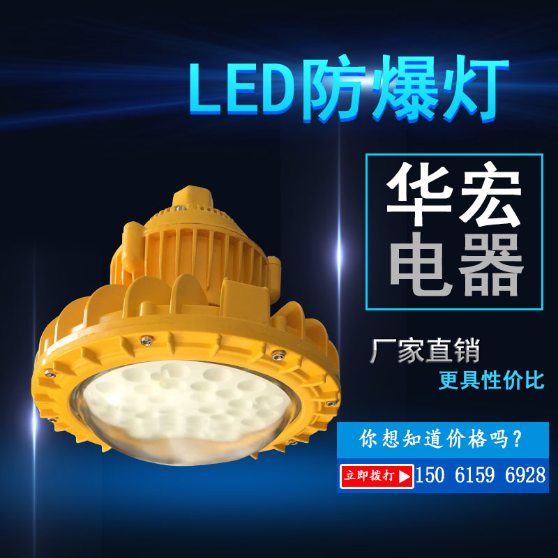 【BAD85-M LED防爆灯(I型) 20W 30W 40W】价格_厂家