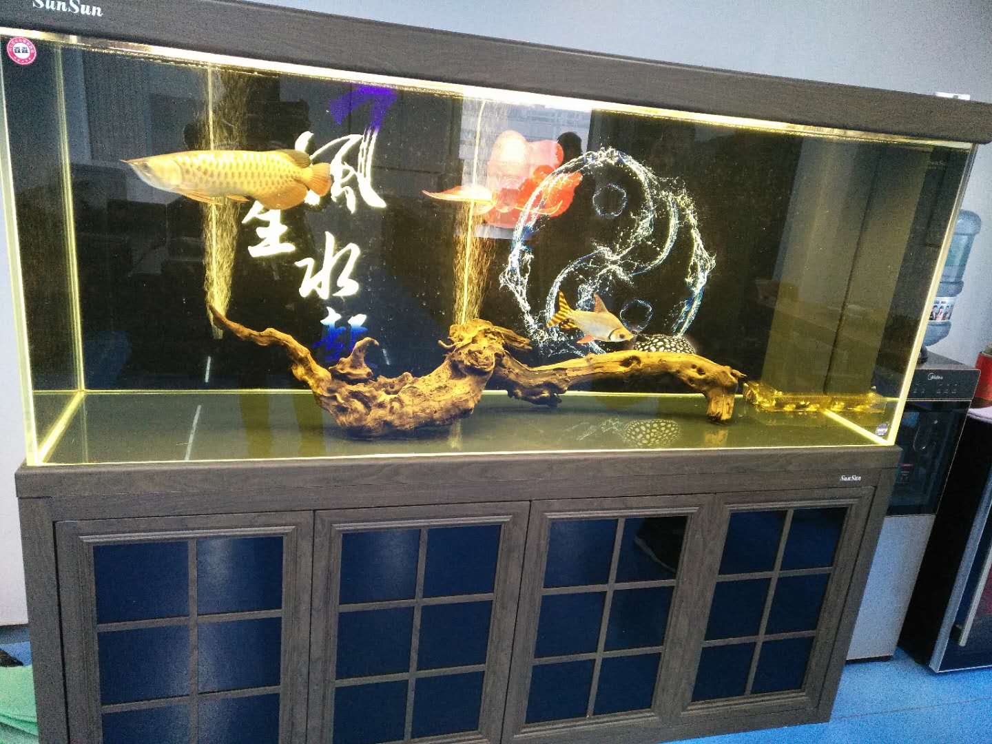 济南高新区丁豪广场鱼缸清洗