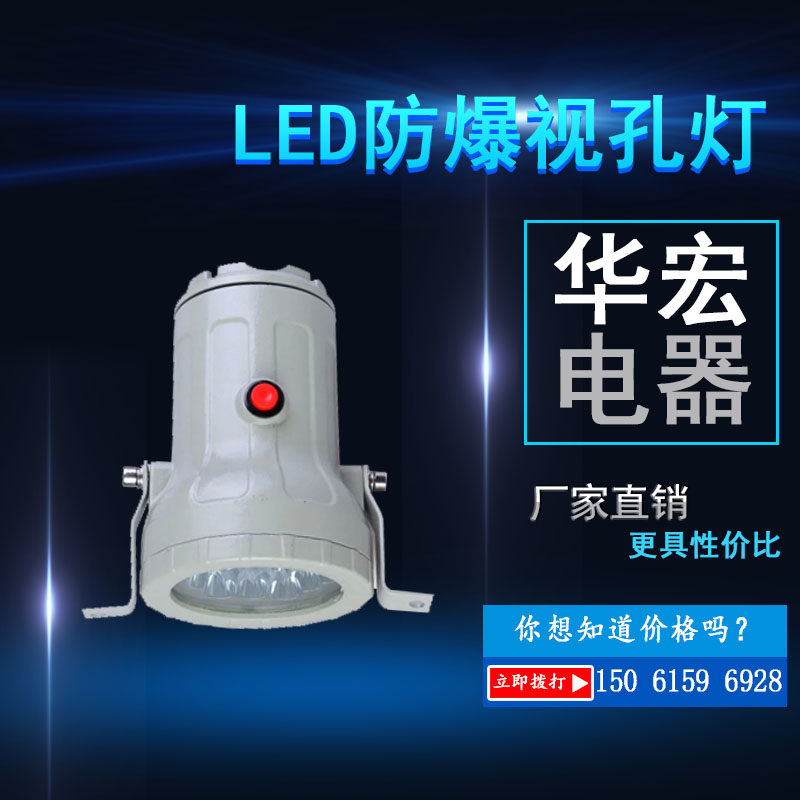 BSD96防爆LED视孔灯视镜灯照明灯220V 带延时带按钮白织灯