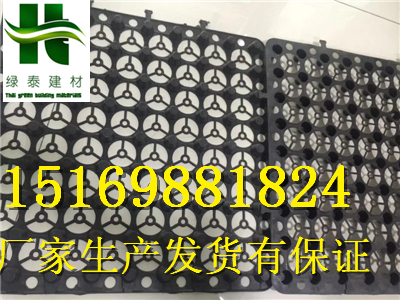 浙江嘉兴1.5公分H20高车库绿化排水板