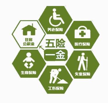 深圳社保代理，福田社保代理，专业社保代理公司