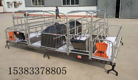 养猪设备厂家母猪双体产床