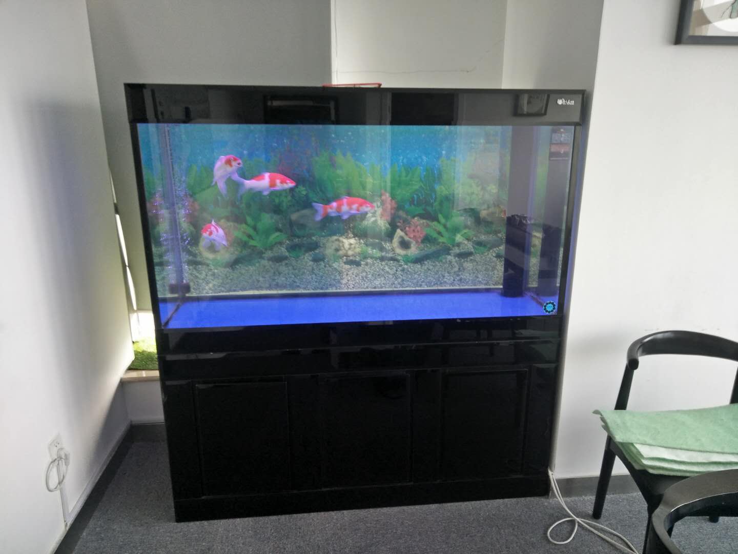 济南历下区鱼缸清洗