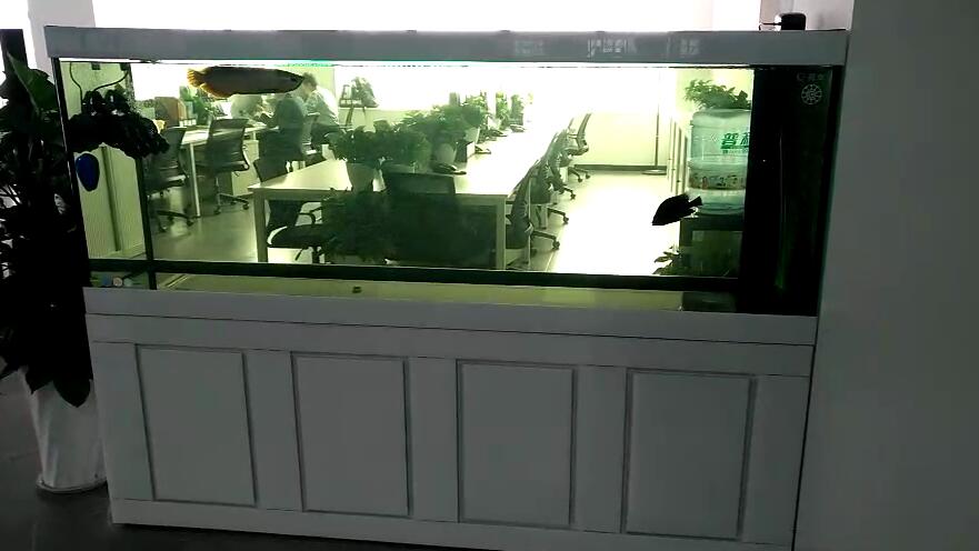 济南高新区奥体中心鱼缸托管
