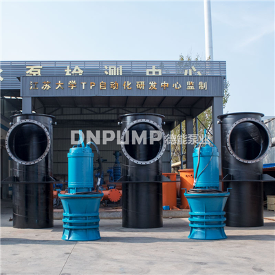 大流量潜水轴流泵生产厂家