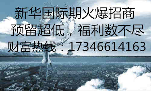 新华国际期货官网新华国际期货官网