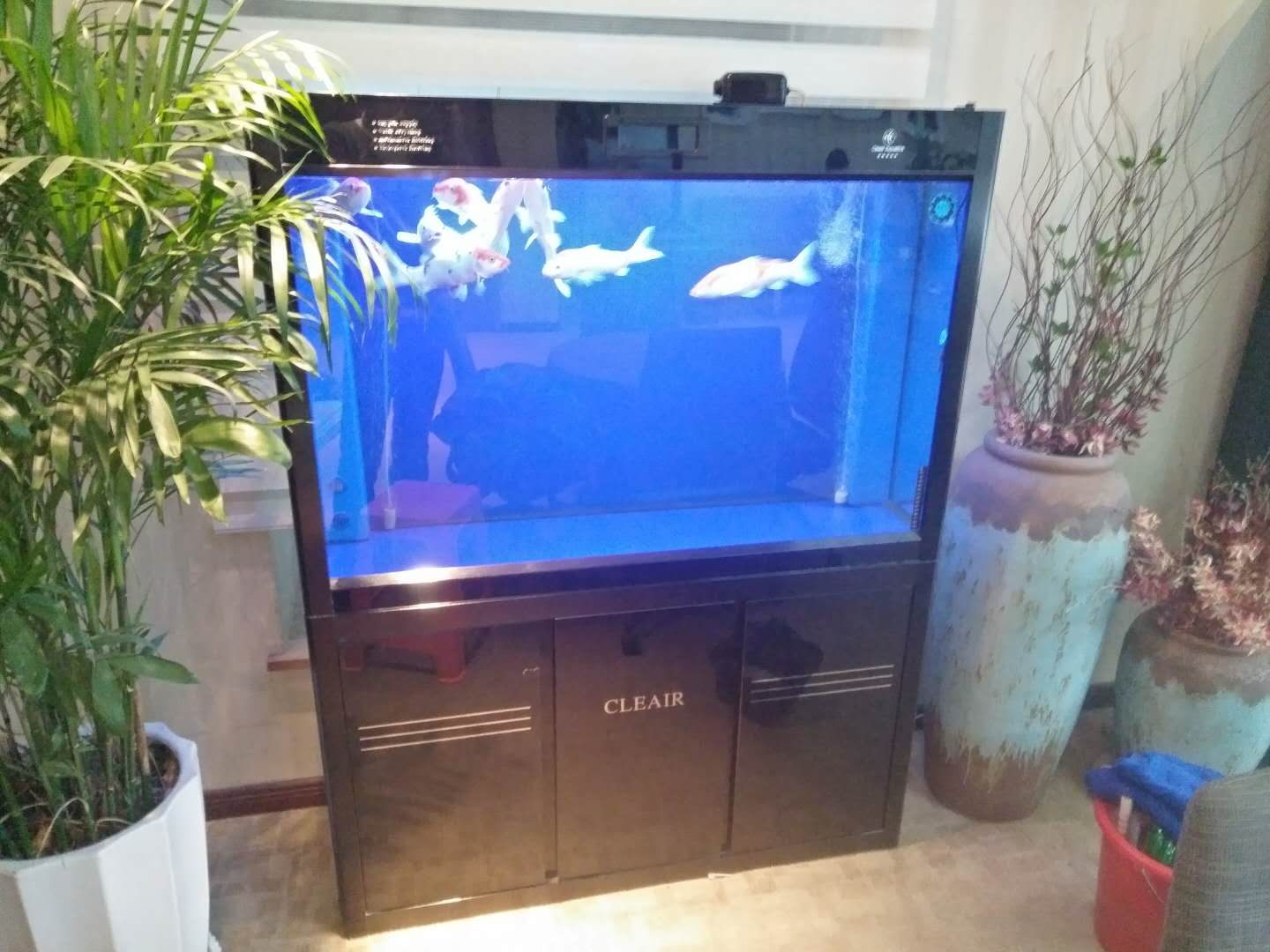 济南历下区燕山立交鱼缸清洁