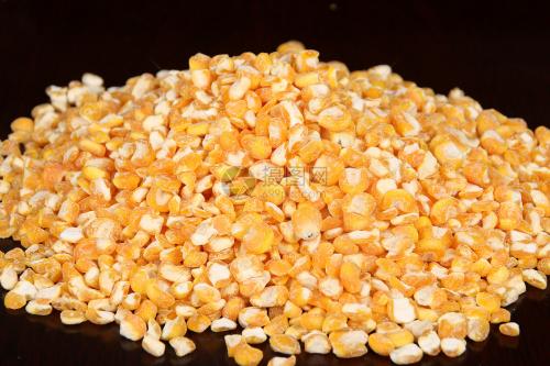 四川穗粮求购玉米大米小麦高粱大豆