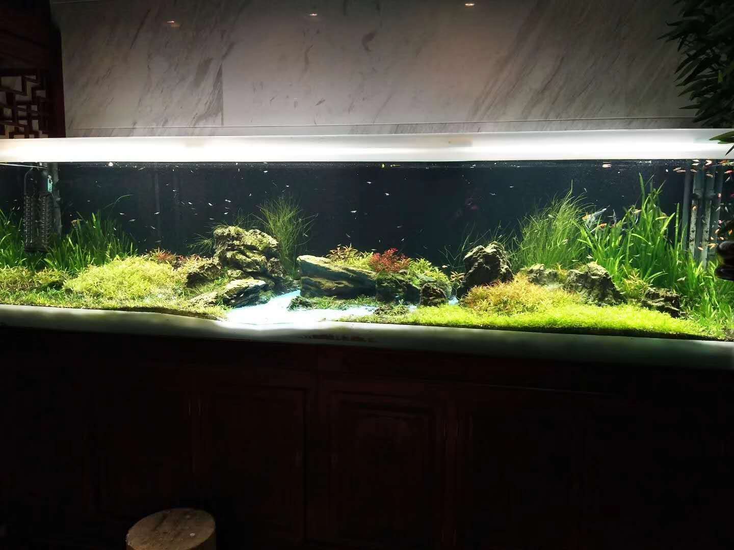 济南高新区舜泰广场鱼缸造景