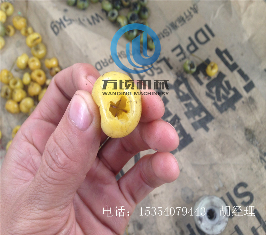 樱桃去核机厂家直销