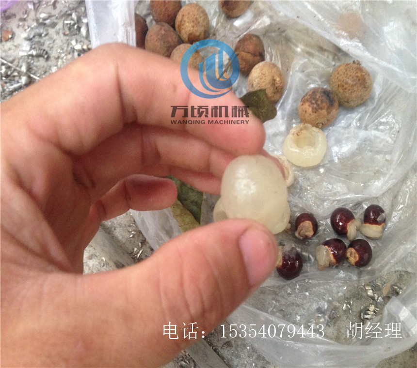 万顷隆牌龙眼去核机多少钱