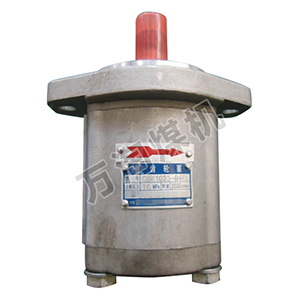 供应齿轮泵CBK1025-B4FL厂家直销价格优惠矿用设备配件机械配件专业可靠优质服务