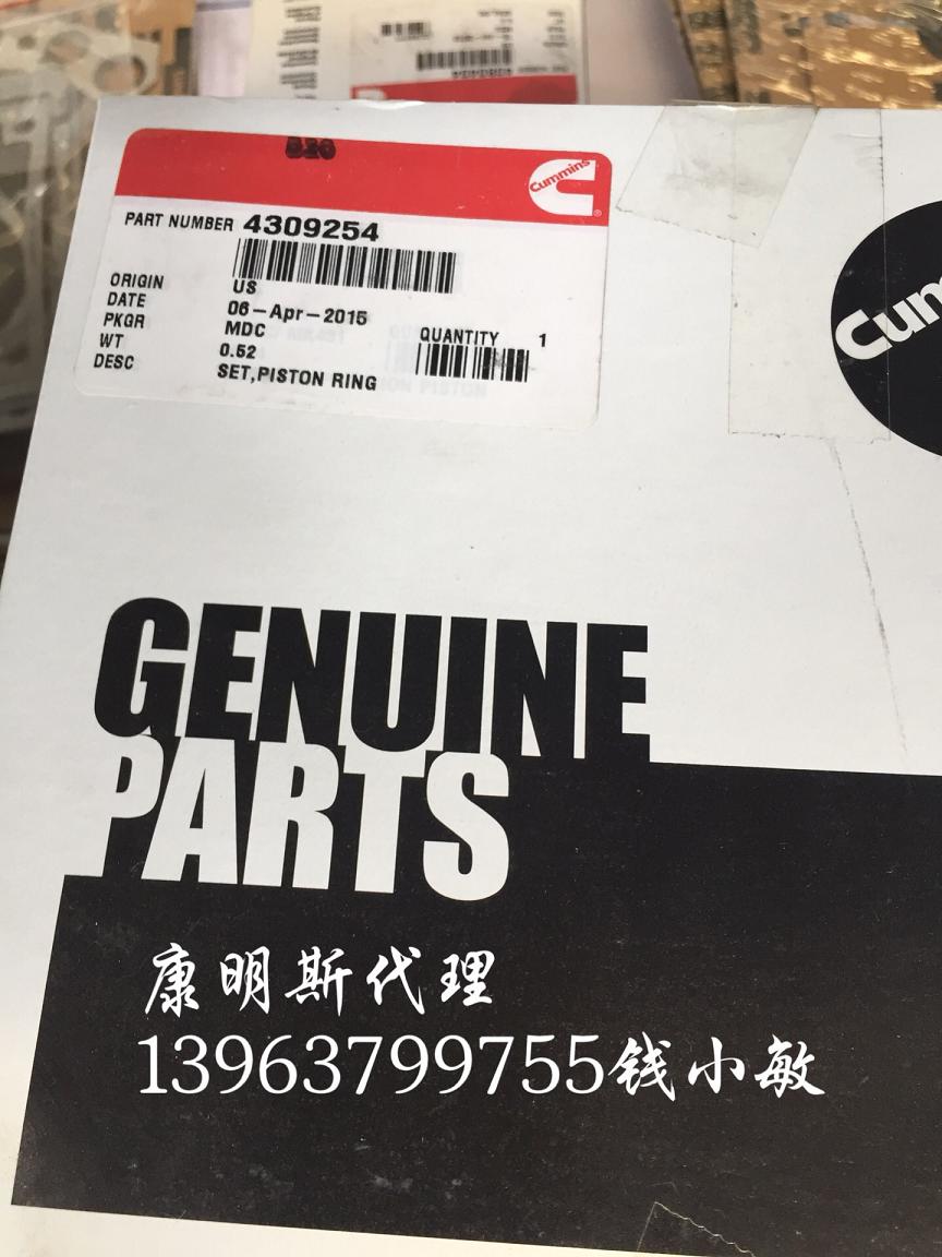 NTE240矿车QSK60活塞环4309254 3647001