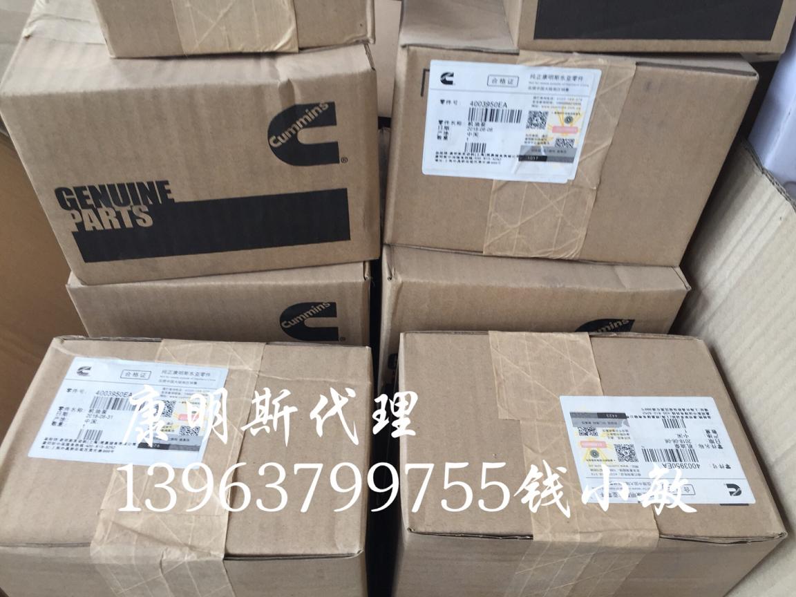 工程机械发动机配件ISMQSM11发动机 机油泵4003950