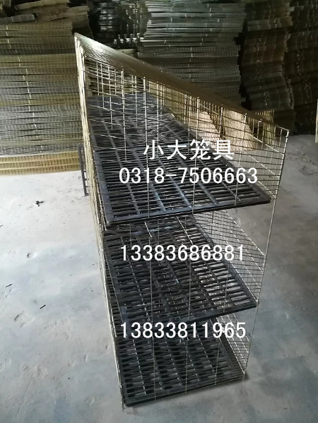 鸡鸽兔笼鹌鹑笼鹧鸪笼鸡笼子鸽笼子兔笼子运输笼鸟笼鸽子笼兔子笼