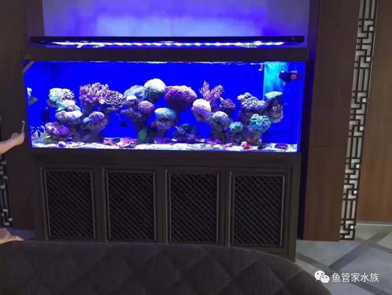 济南历下泉城路鱼缸以旧换新