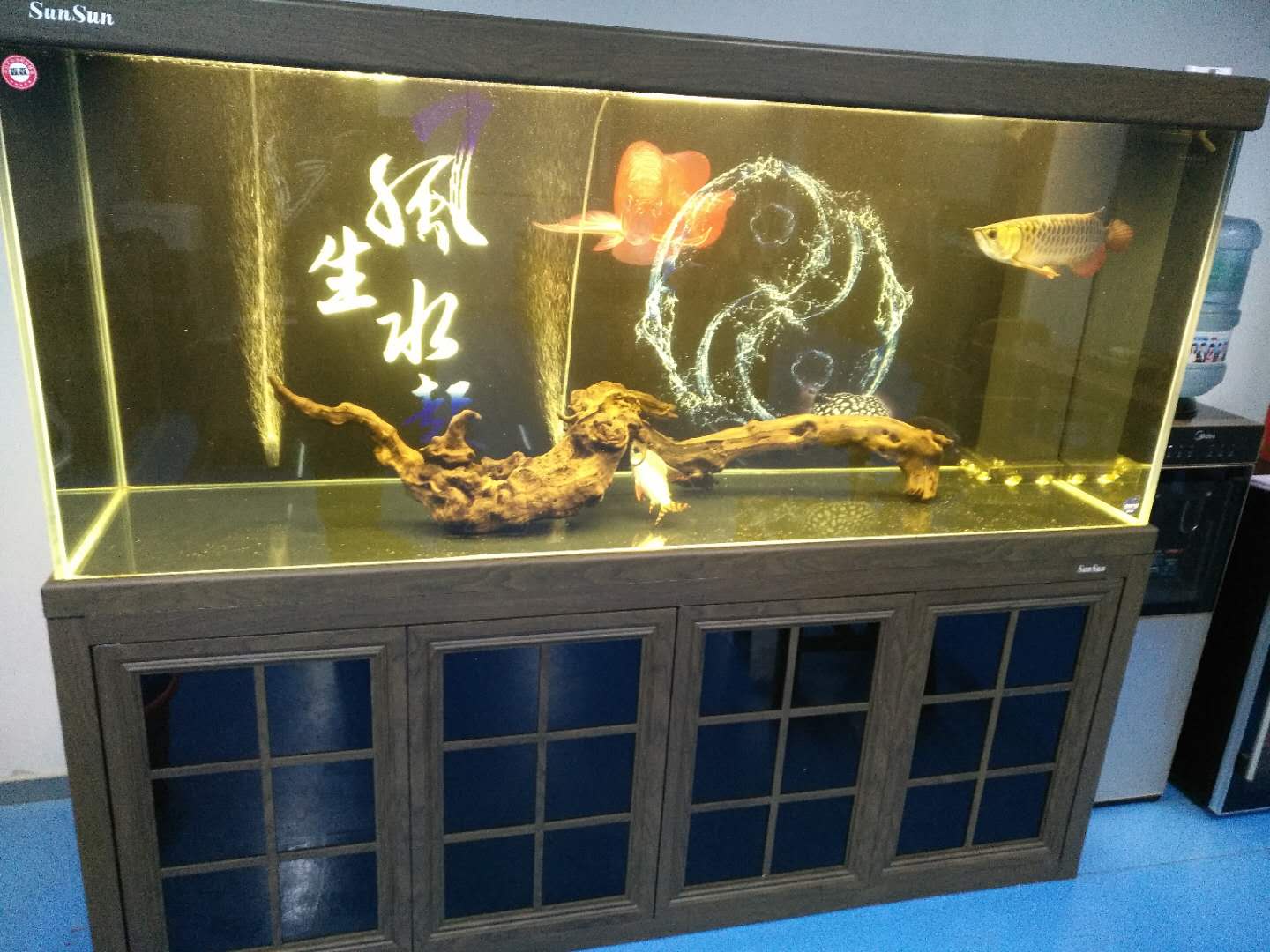 济南高新鱼缸托管