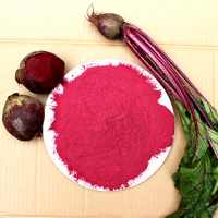 紫菜头粉 紫菜头速溶粉 提取物 1公斤起订 多种规格