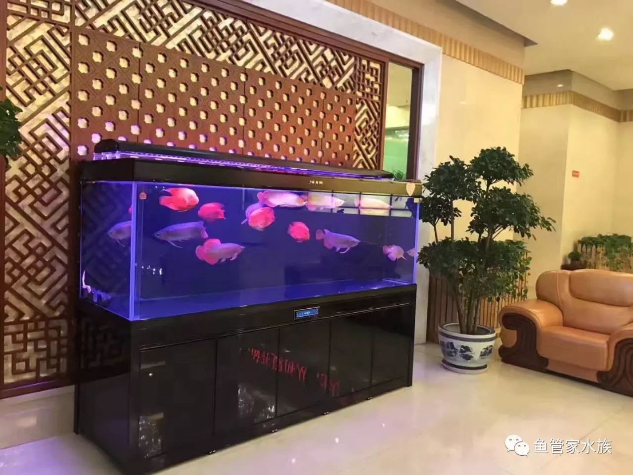 济南历下鱼缸以旧换新