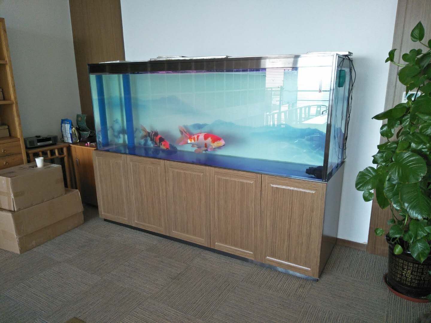 济南历下泉城路鱼缸清洗