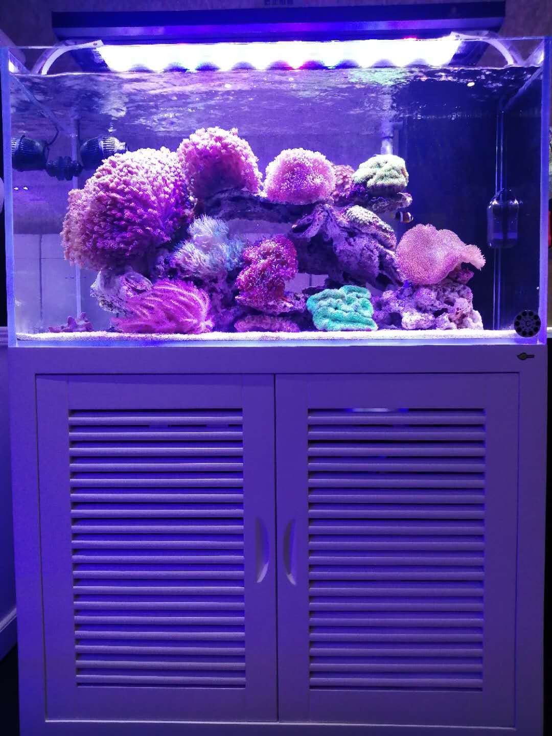 济南历下区二环东路海水缸定做