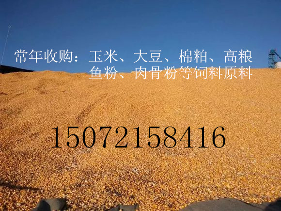 旺川求购玉米棉粕大麦碎米