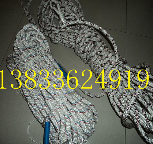可定制生产ZSQ系列攀登安全自锁器