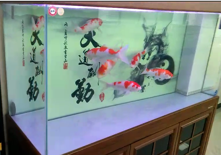 济南高新区龙奥天街鱼缸以旧换新