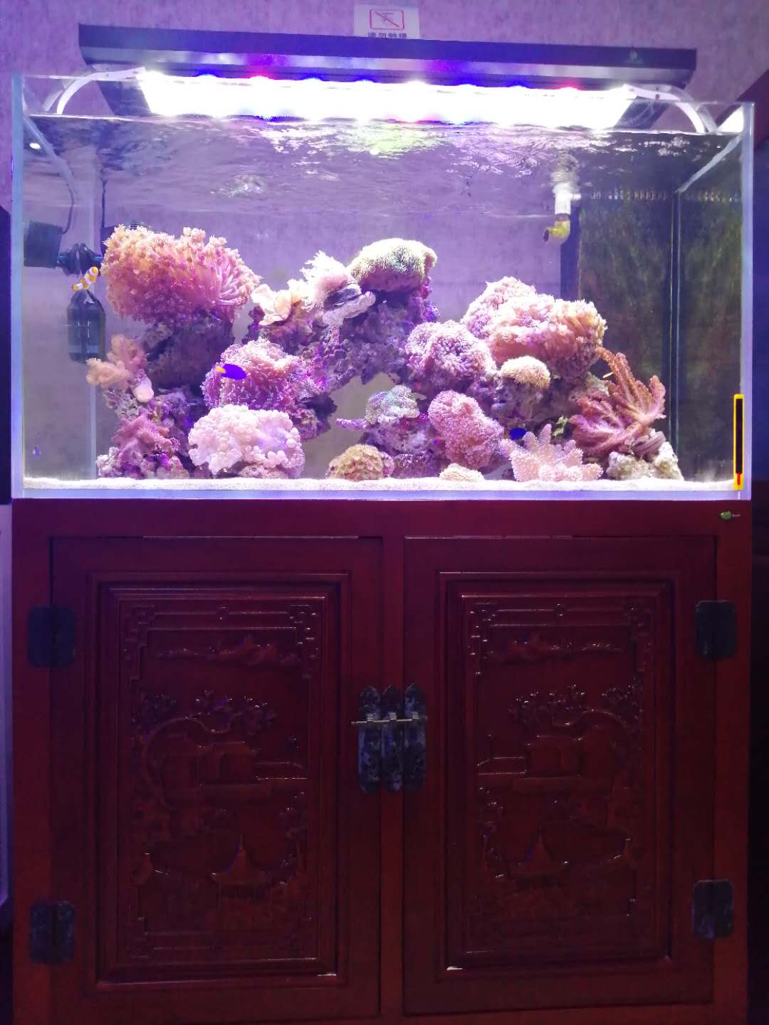 济南高新区丁豪广场海水缸定做