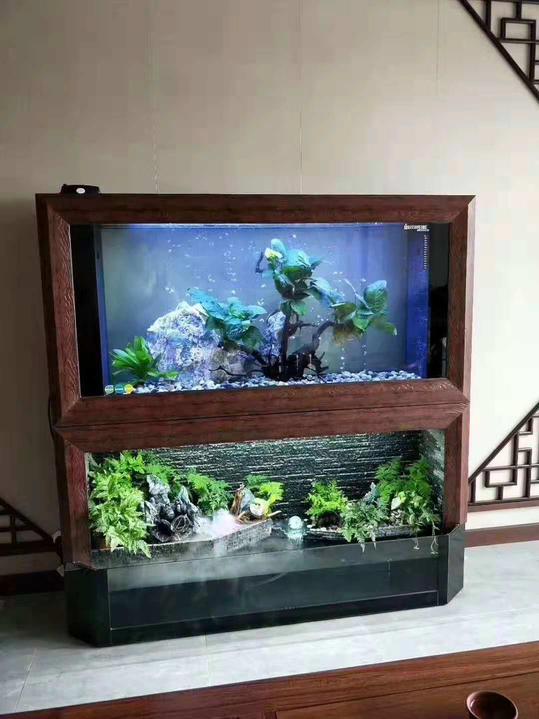济南高新区丁豪广场海水缸清洗
