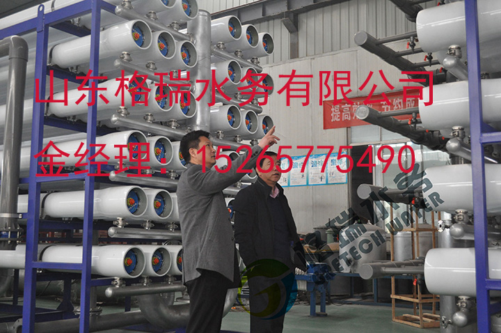 河北工业商用RO纯水处理设备生产厂家
