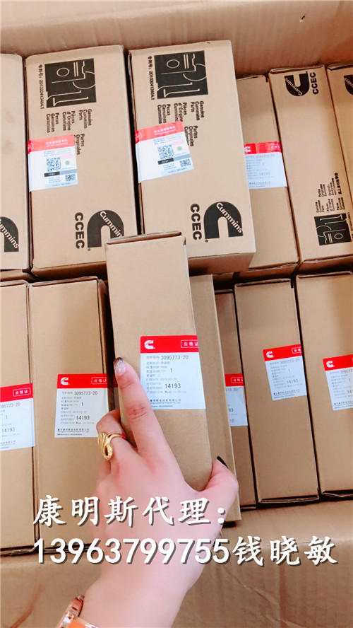 大型发电机组康明斯发动机KTA19 K38 K50喷油器3095773油嘴 3071497
