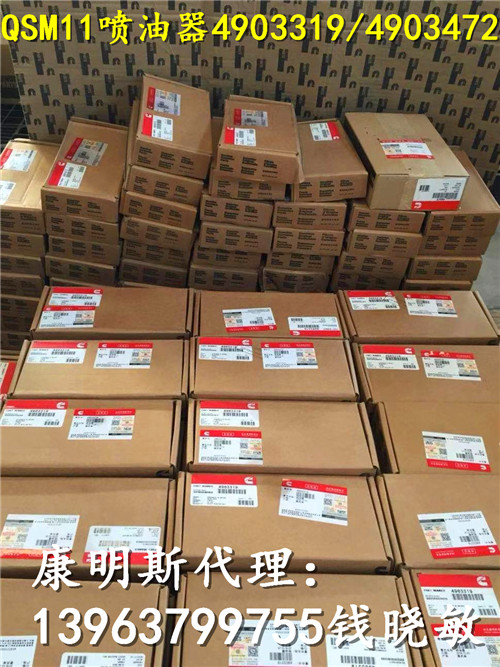 现代挖机徐工QSM11进口喷油嘴4903319喷油器3411756