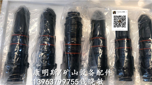 柳工挖掘机配套厂家康明斯NT855发动机喷油嘴喷油器3054218
