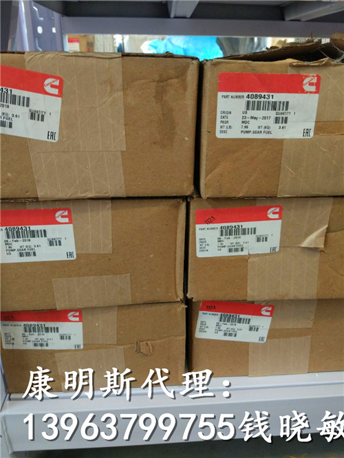 徐工XE900C燃油泵齿轮QSX15发动机燃油齿轮泵4089431