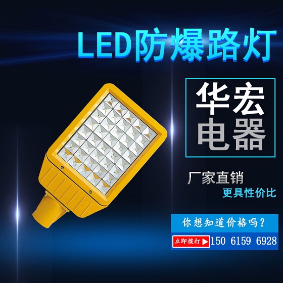 RDB98-MZ型防爆免维护节能灯LED120W150W