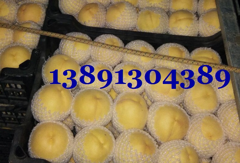 黄金蜜毛桃价格-陕西纸袋黄金蜜毛桃产地上市价格