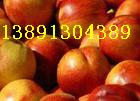 黄壤油桃价格-陕西48油桃，46-28油桃黄壤油桃产地