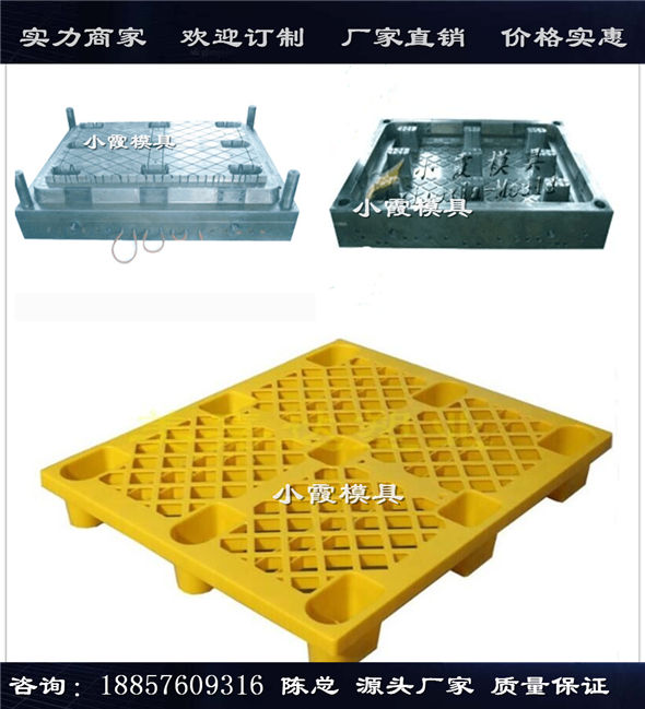 台州注塑模具公司塑胶站板模具生产厂家