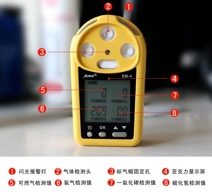 定西澳洲新EM-4四合一防爆气体检测仪 格