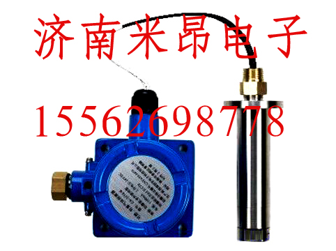 可燃气体探测器CA-217A-DGW-可链接相关监控产品