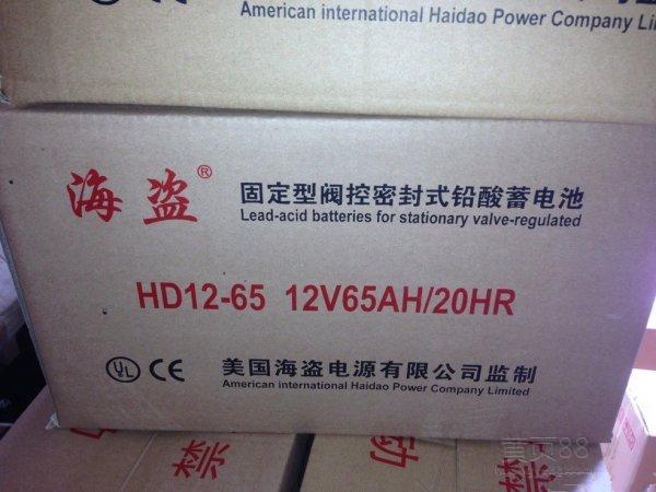 美国海盗蓄电池HD12-24 12V24AH质保三年