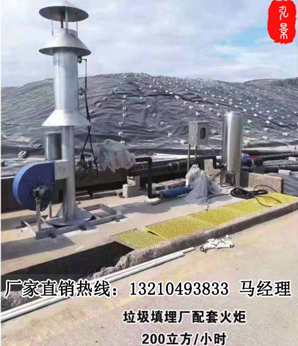 50-200立方垃圾填埋场沼气火炬使用方法