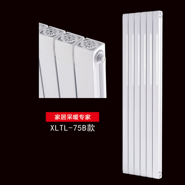 十大品牌欣兰世家钢制铜铝复合暖气片散热器