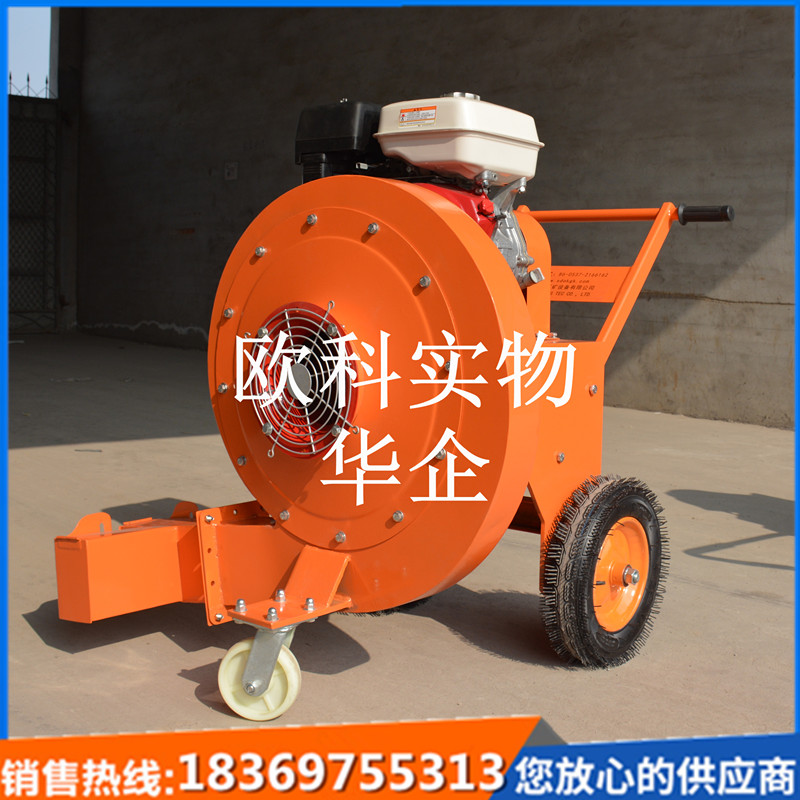 马路缝隙清除吹风机 公路除尘汽油吹风机